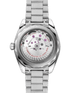 Seamaster Aqua Terra 150M 41 mm 220.10.41.21.03.006 - Image 2