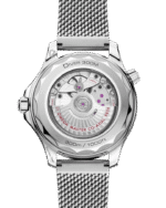 Seamaster Diver 300M Co‑Axial Master Chronometer 42mm 210.30.42.20.06.002 - 图片 2