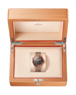Seamaster Diver 300M 42 mm 210.90.42.20.01.003 - Image 3