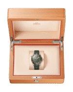 Seamaster Diver 300M Co‑Axial Master Chronometer 42mm Titanium 210.92.42.20.10.001 - Image 3
